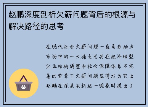 赵鹏深度剖析欠薪问题背后的根源与解决路径的思考